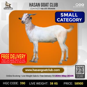 HGC-390
