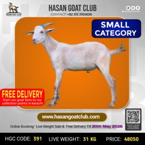 HGC-391