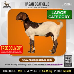HGC-392