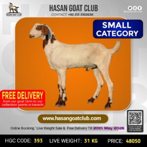 HGC-393