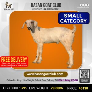 HGC-395