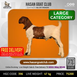 HGC-396