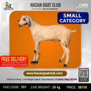 HGC-397
