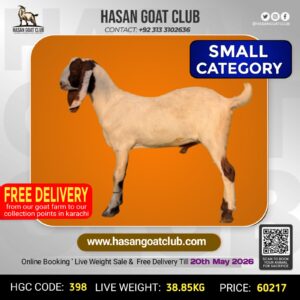 HGC-398