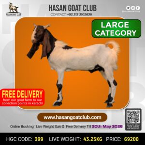 HGC-399