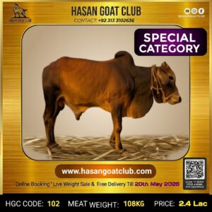 HGC-COW-102