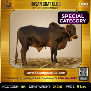 HGC-COW-104